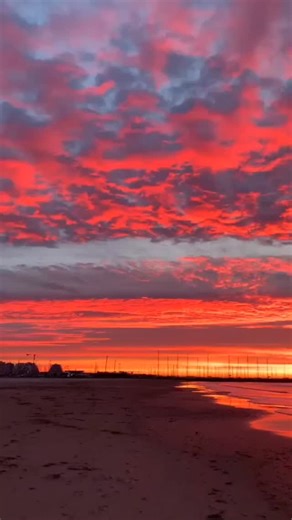 ‎🅼🅰🆂🆂🅸 / ماسّي🥷🌑‎ on Instagram‎: "و الله غير نابوني🥺راك حلفت متنساش💓🥺 _ _ _ _ _ #art#algeria_and_cameroon_match_unjust_bring_us_back_the_match_where_is_fifa_ #tweets #algeria#algerienne🇩🇿 #setif #tweetsdz#algeria_and_cameroon_match_unj"‎