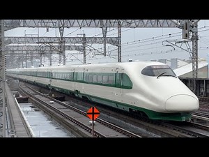 【E2系 200系復刻カラー 営業運転開始】JR東日本E2系J66編成+E3系L64編成 大宮