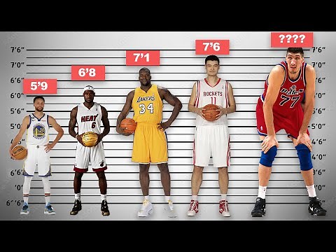NBA Star Players Height Comparison | NBA Heights Smallest to Tallest
