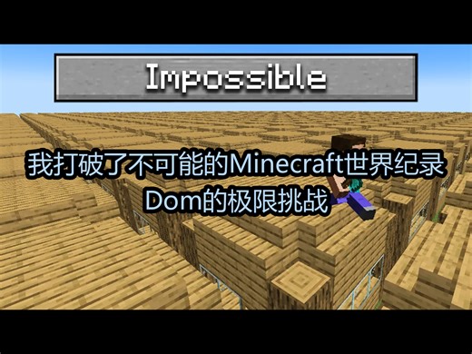 【中配】我打破了不可能的Minecraft世界纪录：Dom的极限挑战 - Dom