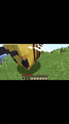 Big Bee #shorts #minecraft