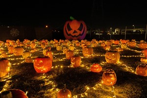 Halloween in Toronto 2025: Top Halloween Haunts, Festivals, Parties & More For Adults and Teens