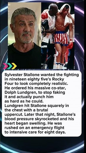 Dolph Lundgren Punched Sylvester Stallone Into...