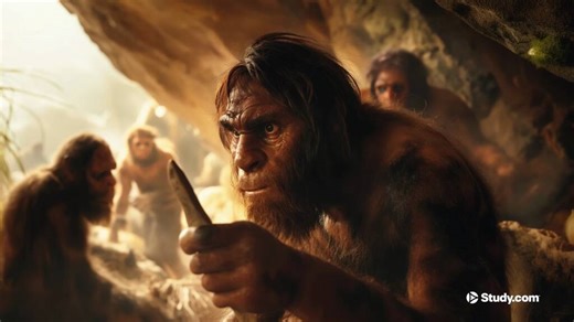 Homo Sapiens | Definition, History & Evolution - Video | Study.com