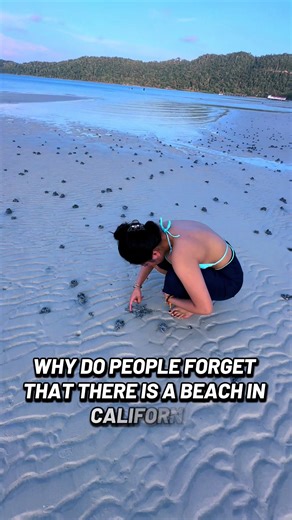 Exploring California's Glass Beach: A Natural Wonder