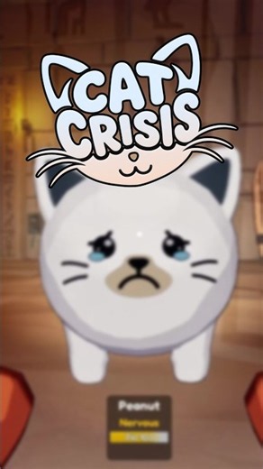 IM IN A CRISIS.... A CAT CRISIS