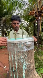 Rayan pets farm on Reels