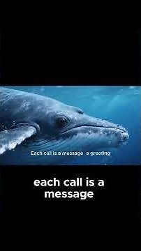 The Ancient Migration Routes Whales Have Used for Thousands of Years #ocean #wildlife