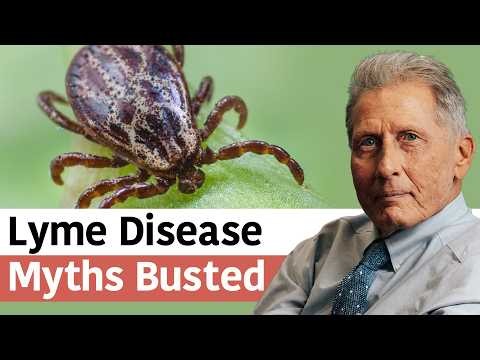 Separating Fact From Fiction in Lyme Disease