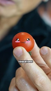 lil 🌹 🍅 garnish | Susur Lee
