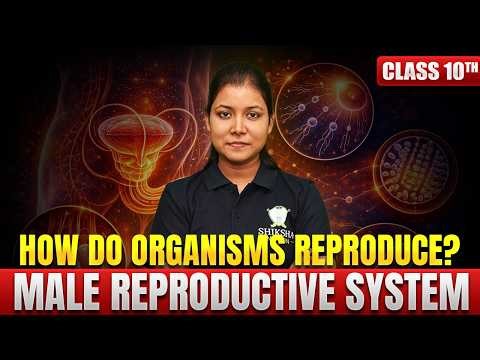 Male Reproductive System Full Explanation 🔥 | Varsha Mam | Human Anatomy Class