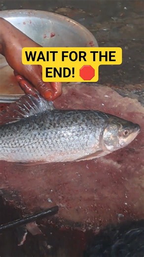 Traditional Rohu Fish Cutting in Village Market | #fishcutting #shortvideo