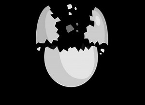 Ei-Cracking-Animation auf Hintergrund: Stockvideos & Filmmaterial (100 % lizenzfrei) 3629731255 | Shutterstock