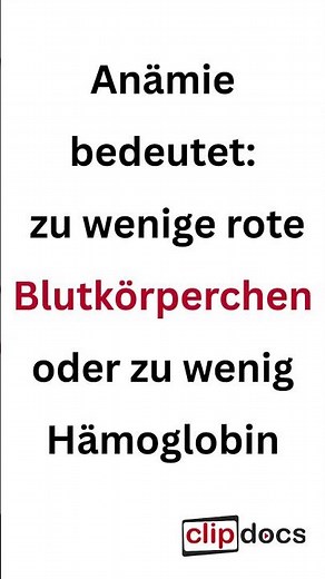 Kennst du diesen Begriff? Anämie erklärt 🩸