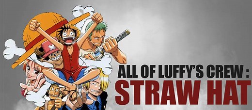 All of Luffy's crew : Straw Hat Pirates 10th Member