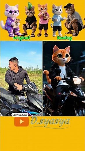 ada hantu di belakang...⁉️ #funny #comedy #komedi #kucinglucu #komedikucing #shorts