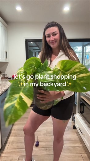 the sound effects and commentary 💀 that’s just me though #pothos #goldenpothos #propagation #planttips #houseplants