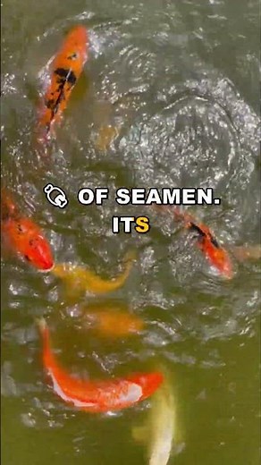 The Raw Meat Myth: Why Tartar Sauce Loves Fish