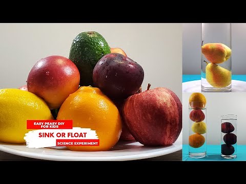 Sink or Float Science Experiment | Science For Kids | Easy Peasy DIY For Kids