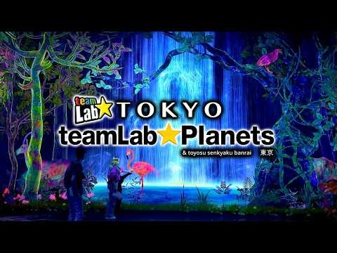 teamLab Planets Tokyo Immersive Art Museum, Digital Art, Toyosu Senkyaku Banrai | ASMR Silent Vlog