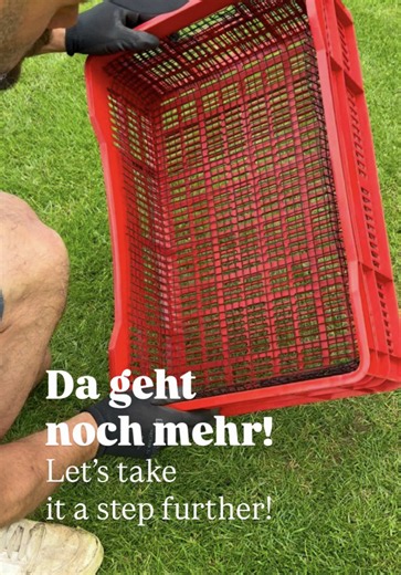 Da geht noch mehr! 🌱 Die Obstkiste kennt ihr schon – jetzt bekommt sie ein kleines Upgrade: Mit feinmaschigem Drahtgitter lassen sich auch feinere Materialien sieben und gleichmäßig verteilen. 🙌 Je nach Boden und Ziel eignen sich Rasenerde, reifer Kompost oder eine passende Mischung mit gewaschenem Rasensand. Als dünne Schicht auf dem Rasen nennt sich das Topdressing: Es kann kleine Unebenheiten ausgleichen und je nach Material die Bodenstruktur und Wasserspeicherung unterstützen. Sandhaltige 