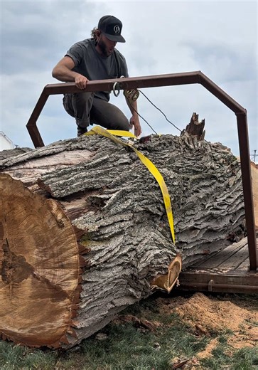 The BIGGEST and oldest tree I have ever recovered! This white oak log will now evolve into usable lumber and crafted into exclusive furniture. 🌳 Visit our website to inquire about your own exclusive furniture. #WhiteOak #ReclaimedWood #TreeToTable #LogRecovery #WoodworkingReels