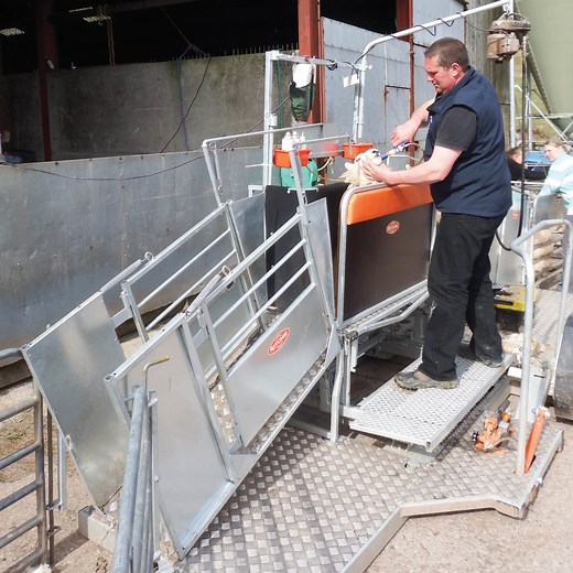 Combi Clamp - Ritchie