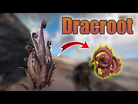 How to get Dracroot | Warframe Duviri Paradox