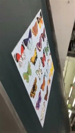 JIgsaw PUzzle AUto Packing Machine