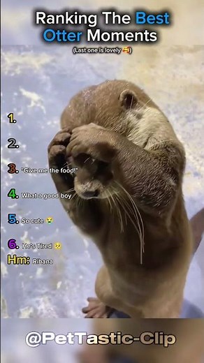 Ranking The Best Otter Moments
