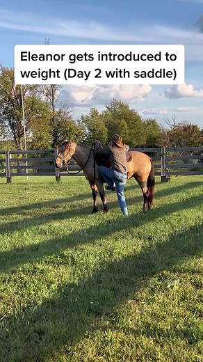 So proud of little Eleanor 🥰🥰🥰. #wildhorses #horsetraining #undersaddle #mustanghorse #blmmustang #wildtomild #doitright #horsesoftiktok #silverkingmustang