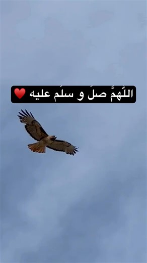 أشهد أن محمداً رسول الله | Beautiful Adhan Voice ❤️ #shorts