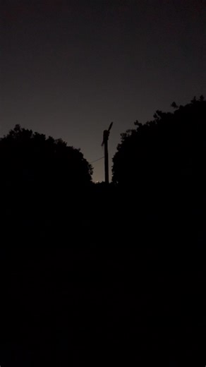 David Fleming on Reels