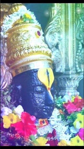 #vitthalvitthal#vitthalrukminidarshan#pandurangbhajan#vithumauli#vitthal#majhipandharichimaaysong