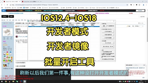 【EasyClick】【IOS】USB版脱机版苹果手机批量打开开发者,批量刷入开发者镜像工具,支持IOS18
