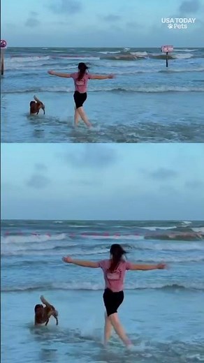Astronaut's dog 'goes over the moon' for her return home. See heart-warming video.