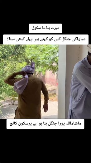 Exploring Miyawaki Forests: A Unique Nature Experience