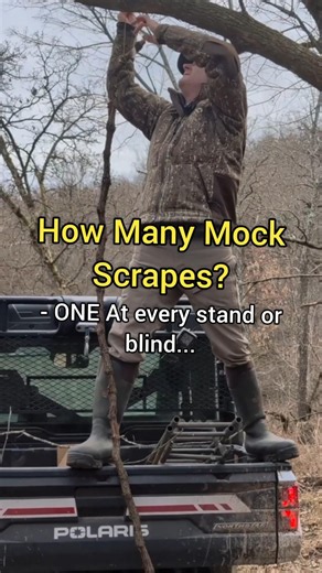 Every Stand Or Blind Needs A Mock Scrape #mockscrape #deerhunting