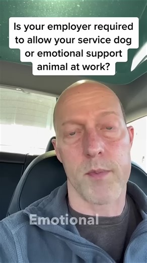 Can you bring an emotional support animal to work? It depends. Under the ADA, you must have a qualifying disability, and the animal must be a reasonable accommodation. Learn your rights with Spiggle Law Firm. 📞 202-978-5333