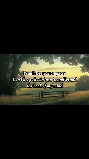 Ella Langley & Morgan Wallen - I can't love you anymore Lyrics Video #lyricsvideo #shorts