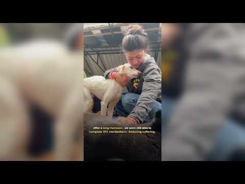 And 2025, it's a wrap!