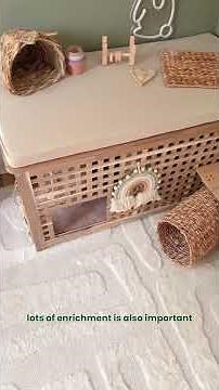 Rabbit Awareness Week 🐰 Indoor Rabbit Setup | Diet | Bunny Room | Bunny Care
