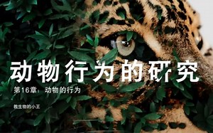 动物行为的研究本节先通过展示科学家对动物行为研究的案例，阐明观察和实验的基本方法。然后通过“探究蚂蚁的行为”活动，引导学生应用观察、实验法来探究蚂蚁的行为，