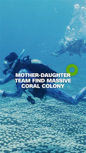 A mother-and-daughter team of citizen scientists identified the world's largest known coral colony, found on the Great Barrier Reef off the coast of Australia. Read more: https://cnn.it/4rG75GP | CNN International