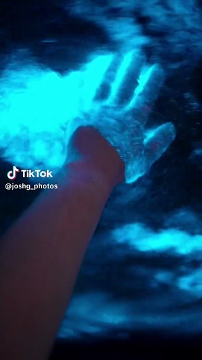 Mesmerizing Bioluminescence Captured Off California Coast