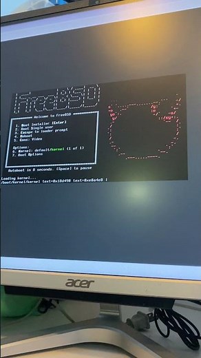 Force shutdown and setup installation on FreeBSD