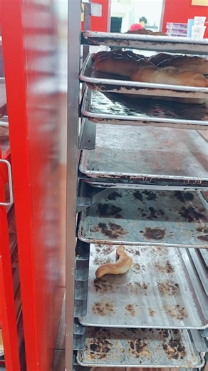 Athena777 (@dulceathena45)’s videos with LA PANADERIA - Yandar & Yostin