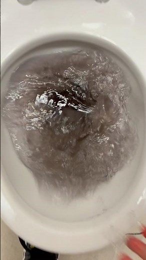 Wall hung Zurn ecovantage toilet siphoning out with purple/gray water!!!