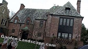 Care of the garden: Fight wireworms in the house and on potatoes | 2025