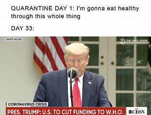 The Daily Show on Reels